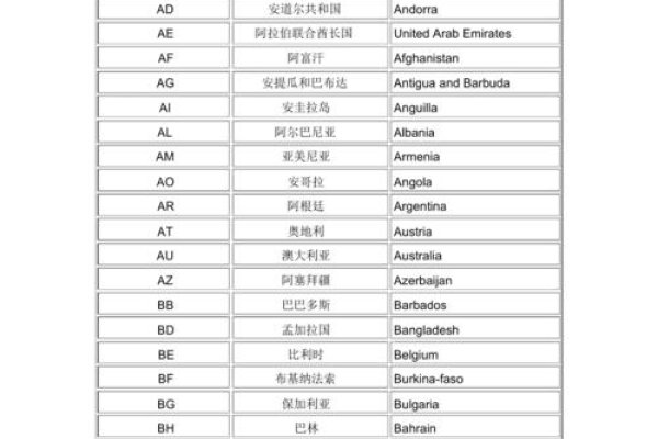 域名系统的缩写及其重要性-百挑一