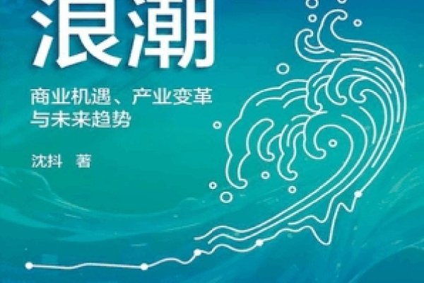 厦门SEO传播，探索数字营销的无限可能-百挑一