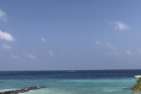 织梦岛，知乎上的梦幻之旅-百挑一