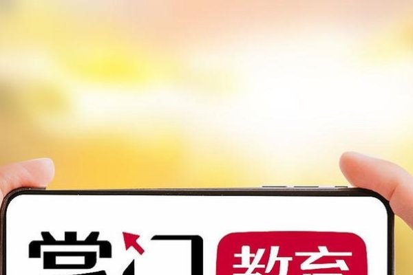 掌门一对一，现状如何？-百挑一