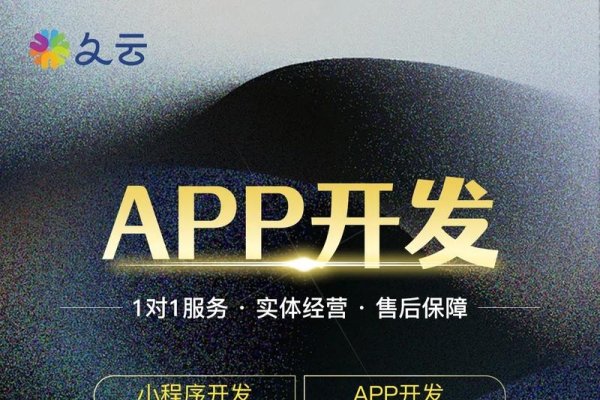 昆明专业App开发公司简介-百挑一