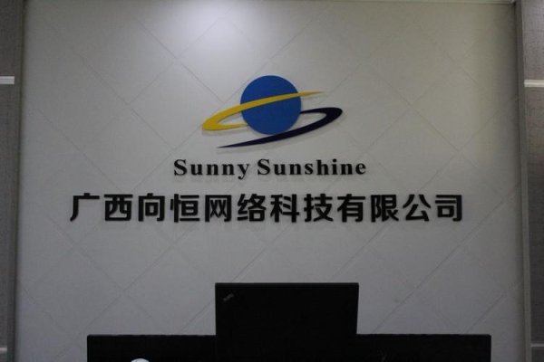 南宁专门建网站的公司，为您的在线业务提供专业支持-百挑一