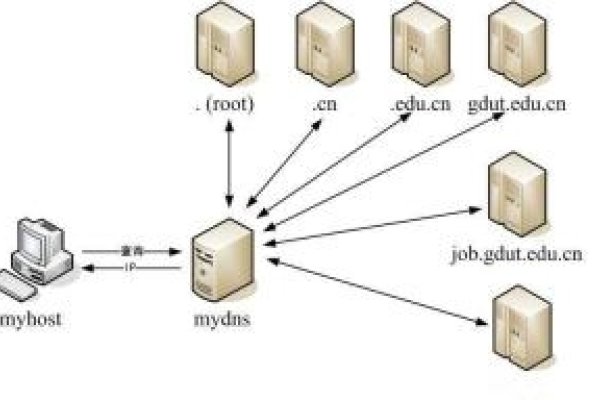 授权域名服务器，解析与管理的关键基础设施-百挑一