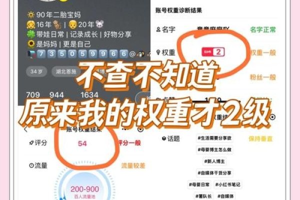 输入旺旺权重在线查询，全面解析与快速查询-百挑一