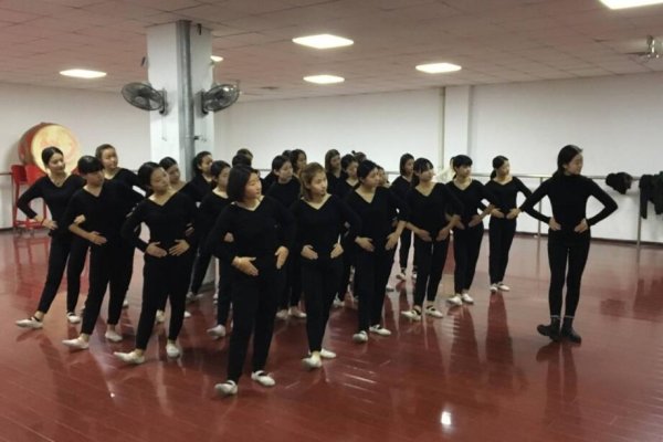 唐山网站建设与排名，舞蹈艺术生可报考高校概览-百挑一