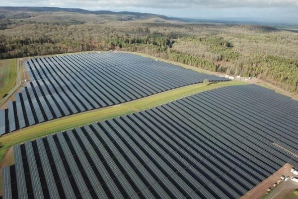 唐山森江木业，SEO优化引领行业前行-百挑一