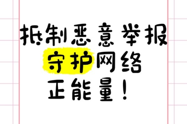 抗投诉服务器，防止恶意行为，维护网络正义-百挑一