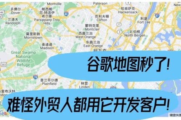 探讨Google首页位置及其影响-百挑一