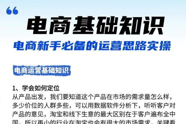 掌握电商技巧，轻松开启成功电商之路-百挑一