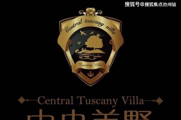 软文的核心灵魂—深度解析与探索-百挑一