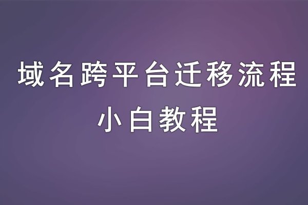 新网域名解析与迁移操作指南-百挑一