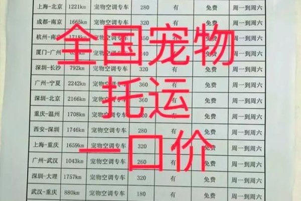 宠物托运公司排名及选择指南，专业可靠的公司推荐与收费标准解析-百挑一