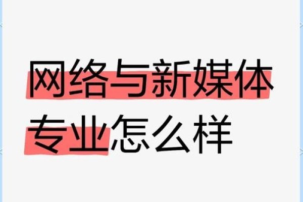 新网站两个月无收录，挑战与机遇-百挑一