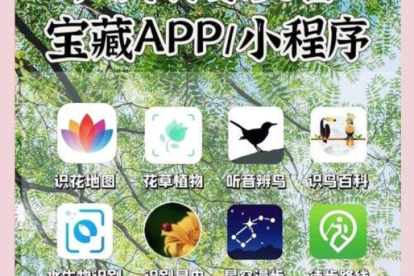 探索便宜的App制作方法-百挑一