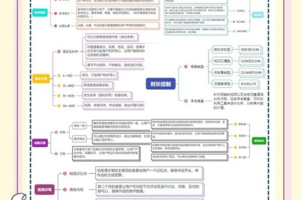 郑州短视频运营与教育机构解析，策略、收益与选择指南-百挑一