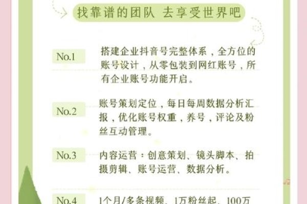 淘宝代运营维权的探索与挑战-百挑一