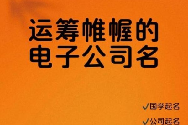 探索代运营公司的命名艺术，创新与品牌力的完美结合-百挑一