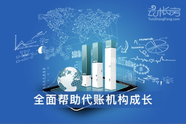 软件代做与账务处理，选择合作伙伴的关键考量-百挑一