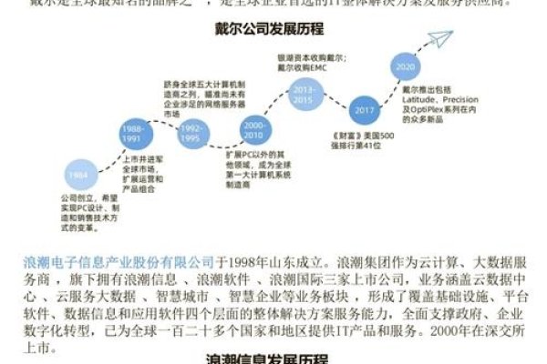 戴尔服务器代工与国产情况简述-百挑一