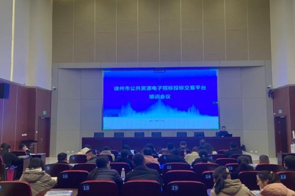 徐州公共资源交易建设平台,推动城市资源交易与建设的数字化进程-百挑一