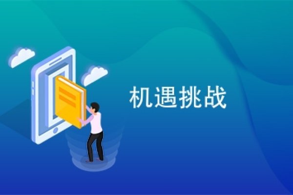 探索国外服务器网站链接，机遇与挑战并存-百挑一