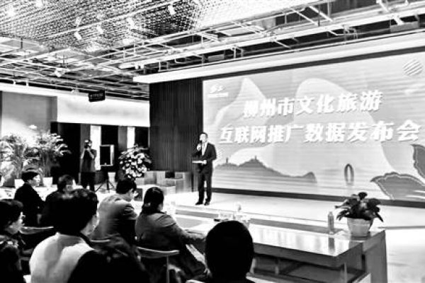 柳州互联网设计企业，创新与发展的力量-百挑一