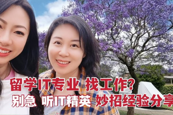 IT行业学历最低要求解析-百挑一