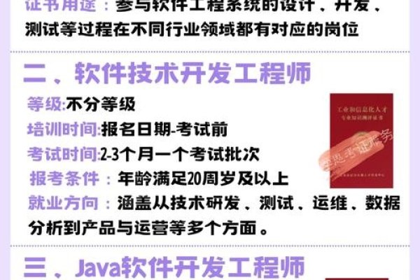 软件开发工程师证书查询，便捷途径与实用指南-百挑一