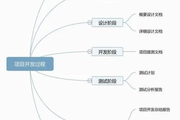 软件开发输出文档的重要性及其管理策略-百挑一