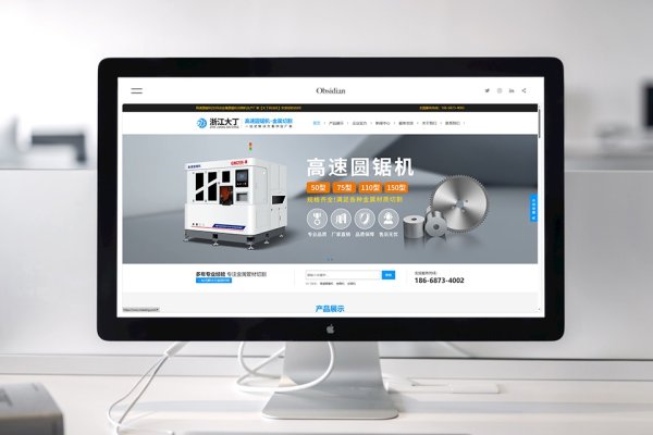 温州乐清低价网站建设，高效、经济、一站解决-百挑一