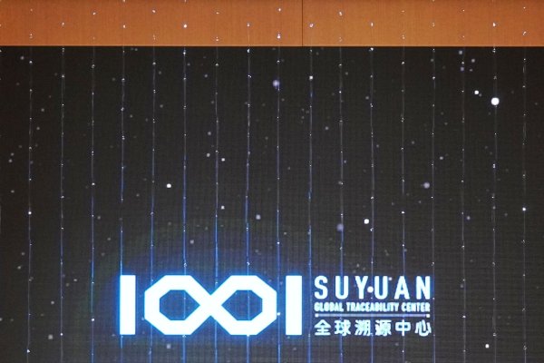 溯源码与公司网站，构建透明、可信的数字世界-百挑一