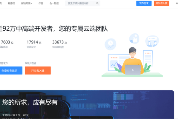 软件外包项目平台，程序员接单首选渠道-百挑一