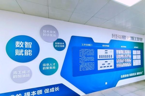 心狼网络工作室，引领数字时代的创新力量-百挑一