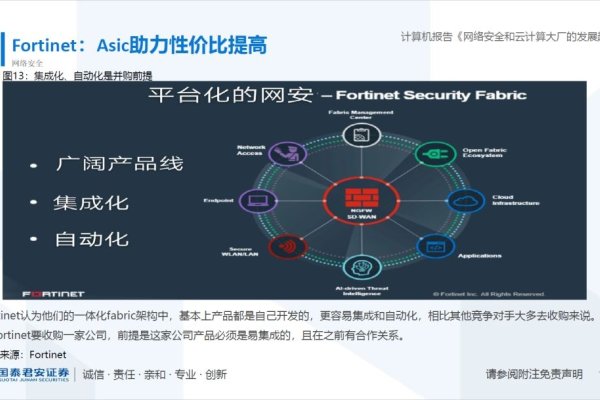 杭州网络安全公司的崛起与挑战-百挑一