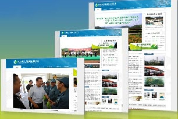 杭州网站设计中的蒙特元素-百挑一