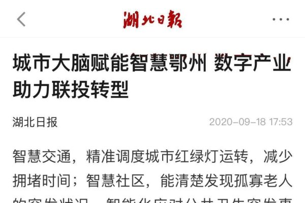 鄂州网站建设与金融资讯一览-百挑一