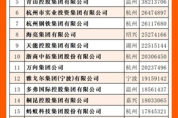 杭州网站制作公司排名及行业概览-百挑一
