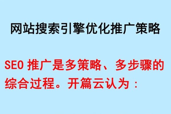SEO按天计费系统定制，打造高效的搜索引擎优化解决方案-百挑一