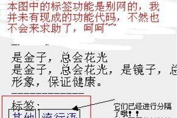 ASP标签是什么意思？-百挑一