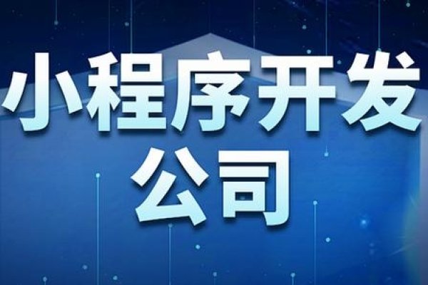 黔南小程序开发公司，引领小程序开发新潮流-百挑一