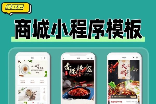 微信小程序开发模板网站，快速构建高效小程序的新选择-百挑一