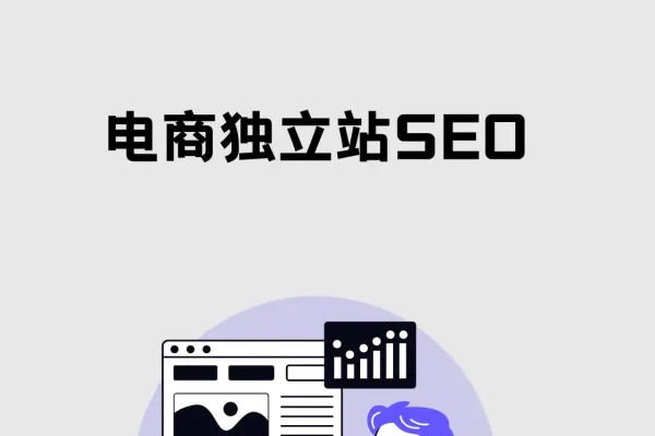 SEO独立站免费流量策略-百挑一