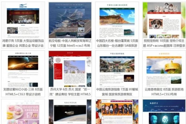 ASP动态网页设计作业实践指南-百挑一