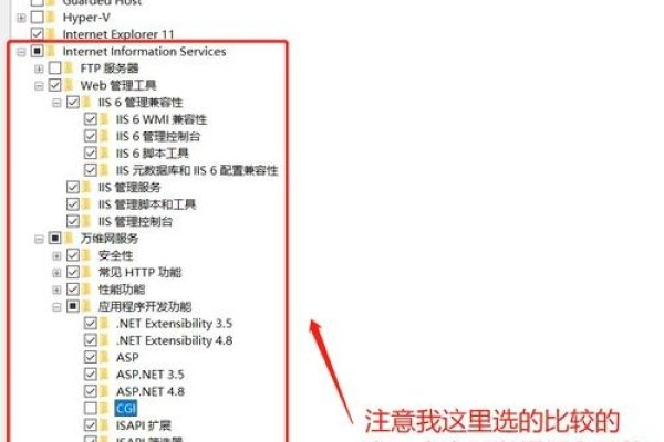 IIS服务器安装教程与无线打印服务设置指南-百挑一