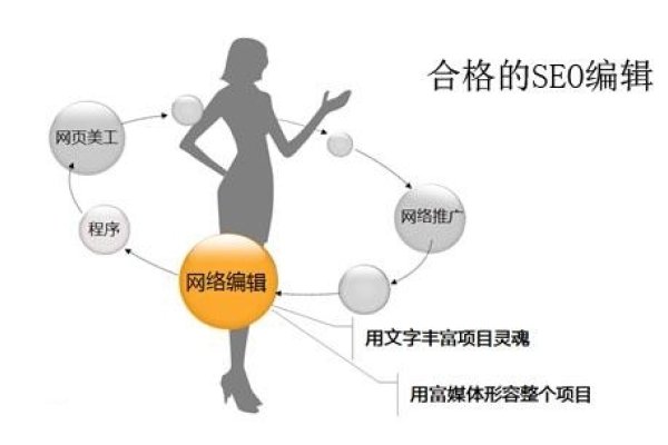 SEO高清外链出售及优化策略-百挑一