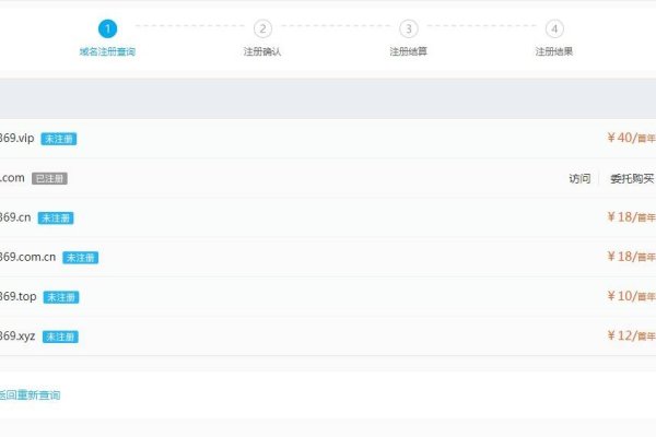 VIP后缀域名申请全解析-百挑一