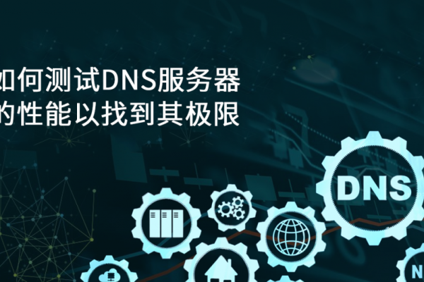 DNS解析与F1赛车,网络技术与速度的完美结合-百挑一