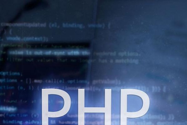 PHP技术，动态网页的强大后盾-百挑一