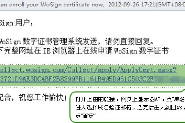 ru域名SSL证书申请及注册流程指南-百挑一