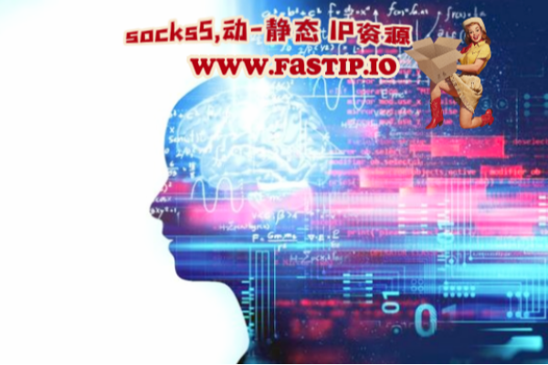 IP域名与静态IP价格解析，费用受多种因素影响-百挑一